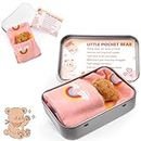 Vibbang Pocket Bear in Tin Box, Pocket Hug Plush Toys, Stuffed Animad Bear Doll, Little Brown Bear, Good Luck Gifts, First Day at School Gift, Inspirational Positive Ornaments Gift for Kids Friend