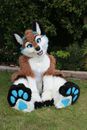 Brown Long Fursuit Husky Fox Dog Mascot Costume Cosplay Dress Unisex Xmas Gift