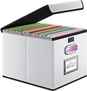 FINEW Hanging File Box for DIN A4 Hanging Files, Storage Boxes for Office (Silbrig)