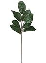 Magnolia Leaf Garland, Artificial Foliage, 6 ft, Green, Set of 2