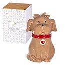 SPOTTED DOG GIFT COMPANY - Biscottiera a forma di cane - barattolo da cucina - idee regalo per padroni e amanti dei cani - in ceramica - marrone