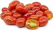 Cherry Tomato Seeds Vegetable Hybrid Seeds for Home Garden for Planting (200 Seeds) By Zabbus