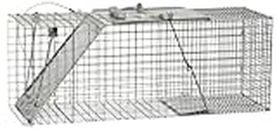 Havahart 1085 Easy Set One-Door Cage Trap For Raccoons, Stray Cats, Groundhogs, Opossums, And Armadillos