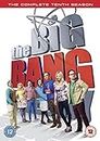 The Big Bang Theory: Season 10 [DVD] [2016] [2017]