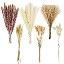 CRFNI 100 Pcs Pampas Grass - Natural Pampas & Reed Grass & Bunny Tails & Dried Wheat for Dried Flowers Arrangements Boho Wedding Home Decor
