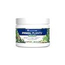 Gundry MD® Primal Plants Polyphenol-Rich Greens Powder Superfood Supplement to Support Skin Health, Optimize Energy and Digestion - Green Apple Flavor (30 Servings)