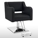 BarberPub Classic Salon Chair for Hair Stylist,Hydraulic Barber Styling Chair,Beauty Salon Spa Equipment 3802 (Black)