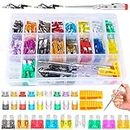 310Pcs Automotive Fuse Assortment Kit, Standard & Mini & Low Profile Mini Blade Car Fuse with Teaster & Puller, ATM/ATO Replacement Fuse for Marine/Motorcycle/RV (2A/5A/7.5A/ 10A/15A/20A/25A/30A/35A)