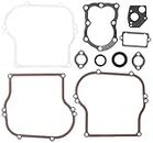 Briggs and Stratton 555210 Gasket Set Lawn Mower Replacement Parts