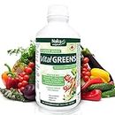 Naka Vital Greens 600 ml a Liquid Boost of Essential Green Nutrients for immune support, Energy and Detox, Chlorophyll plus Herbs and Superfoods, Spinach, Spirulina, Gingko Biloba and Vegetable Juice, 20% EXTRA BONUS SIZE (500 + 100 FREE) 600 ml