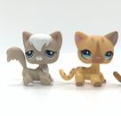 Original Littlest Pet Shop 2x Kurzhaarkatze Shorthair  Sammlerstück Hasbro 2006