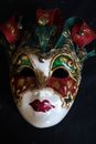Jester Harlequin Mask Italy Maschere Artigianali KARTA RUGA Venezia [20-5]