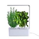 amzWOW Clizia Smart Garden - serra idroponica per piante, vaso intelligente, grow box - Orto da interno 100% Bio - Coltiva le erbe aromatiche- timer automatico, luce Led inclusa (Bianco)