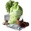 Scott&Co. Herbs Seed Kit, 10 Different Herb Seed Varieties to Grow Your Own, Basil, Coriander, Chives and More. Seeds, Pots, Plant Labels and Compost, Gardening Gifts for Women and Men.