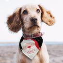 Traje personalizado de pañuelo para perro BIG SANTA Navidad para mascotas accesorios