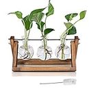Hbnlai Plant Propagation Station, Plant Terrarium with Wooden Stand for Hydroponic Plants Home Garden Office Decor Indoor, Gardening Birthday Gifts for Women Mom - 3 Bulb Glass Vases