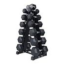 RITFIT 300/350/450/220 LB Rubber Hex Dumbbells Set with Optional Dumbbell Rack, Multi Weight Set to Choose, Ideal for Home Gym and Fitness (350LB Set with Rack)