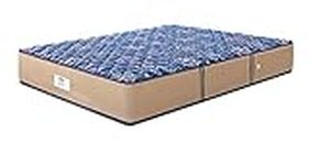 peps Springkoil Bonnell 6-inch Queen Size Spring Mattress (Dark Blue, 78x60x06) with Two Free Pillow