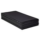 Z Athletic Folding Mat for Gymnastics and Tumbling, 4 Ft x 8 Ft x 2 In Black