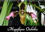 Magnifiques Orchidées (Calendrier mural 2018 DIN A4 horizontal): Belles photographies d'orchidées exotiques (Calendrier mensuel, 14 Pages ) (Calvendo ... Belles Photographies D'orchidees Exotiques