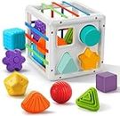 GoldiMec Montessori Toys for 1 Year, Sensory Toys Shape Sorter, Baby Blocks Colorful Textured Balls Sorting Games, Montessori Learning Activity for Fine Motor Skills, Baby Toys 12-18 Months Great Gift