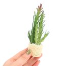 Dollhouse Miniature Cactus Potted Plant Green Plants Doll Home Garden Decor Toy