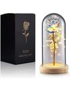 Valentines Day Gifts Beauty and the Beast Rose with LED Light Gift FAST SHIPPING
