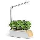 LLGJ —— Indoor Garden with LED Grow Light， Germination Kits，Hydroponic Herb Garden Indoor Plant System 5 Modes-Home Kitchen, Bedroom, Office