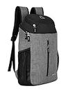 COSMUS Sedna 17 Litre Grey-Black Laptop Backpack
