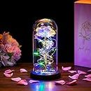 Beauty Beast Rose Gifts Women, Eternal Fake Roses Wedding Anniversary Valentines Gift for Her Nan Birthday Everlasting Artificial Forever Galaxy Flower Lights in Glass Dome for Christmas Nana Mam