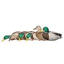 Avian-X AXP Full Body Mallards Fusion Pack - Rugged Durable Realistic Lifelike Hunting Waterfowl Duck Decoys with Heavy-Duty Field Stakes & Carry Bag