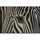 Global Gallery Grevy's Zebra Close Up of Eye, Endangered, Native to Africa by San Diego Zoo Framed Photographic Print on Canvas Paper | Wayfair