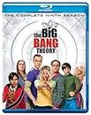 The Big Bang Theory: The Complete Season 9 (2-Disc Box Set)