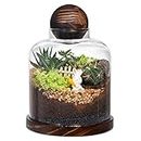Yangbaga Large Glass Terrarium Succulent Plant Terrarium House for Plant/Moss Ball/Glass Fish Tank Mini Table with Wood Base & Ball lid Office Home Decoration