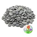 300PCS Tiny Painting Rocks, Meilala DIY Pebble Flat & Smooth Rocks for Arts, Crafts, Decoration, Fish Tank,Garden,Hand Picked Stones for Detail-Painting