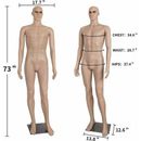 SHAREWIN Full Body Realistic Mannequin 73 Inches | Wayfair WFP-MA02116001
