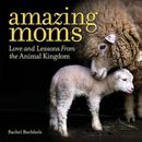 Amazing Moms: Love and Lessons From the Animal Kingdom - Hardcover - GOOD