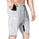 BROKIG Men's Stripe Gym Shorts,Thigh Mesh Fitness Running Shorts Slim Fit Sport Shorts with Zip Pocket(Light Grey,Large)