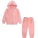 Little Girls Hoodie Zip Up Set Velour Outfits Tracksuit Jogger Clothes Casual Basic Sweatsuit Pink 8-9 Years
