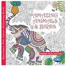Navneet Adult Colouring - Book 1