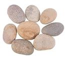 Foodie Puppies River Rocks Natural Multicolour Big Monster Stone - (Large - Pack of 10) for Painting, Aquarium/Fish Tank, DIY, Arts, Crafts, Home Decoration, Garden, and Swimming Pool