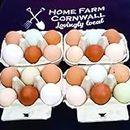 Fertile Chicken Hatching Eggs - Mixed Breed (10)