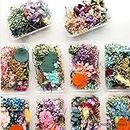BRIGHTAIL INFRA Natural Real Dried Flowers for Art Craft Mixed Soap, Candle, Scrapbook, DIY, Resin Tray Jewellery, Pendant- [Random Box, Multicolour] (5)