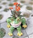 Bloom Bagicha Resin Smiling Frog Planter for Home/Garden/Kids Room/Living Room and Balcony Decor