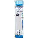 Boiron Urtica Urens 5C for Skin Rash with Itching Due to Allergies - 80 Pellets