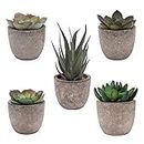 Artificial Plant 5 Pack Potted Fake Succulents Pot Artificial Simulation Plants Sets For Home Kitchen Garden Office Wedding Party Room Decor Gift Small Potted Artificial Plants