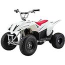 Razor Dirt Quad 500 for Kids Ages 14+ - 36V Electric 4-Wheeler for Teens and Adults up to 220 lbs,Metal