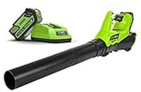 Greenworks 40V Cordless Axial Blower with Fast Charger, 4Ah Kit