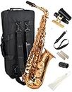 Saxophone Herche Superior Alto Saxophone X3 | Professional Instruments for All Levels | High F# Key | Educator Approved & Service Plan