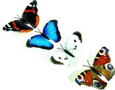 PEBBLE HUG 4x Mariposa Multicolor con Clips para Decoración Hogar Jardín